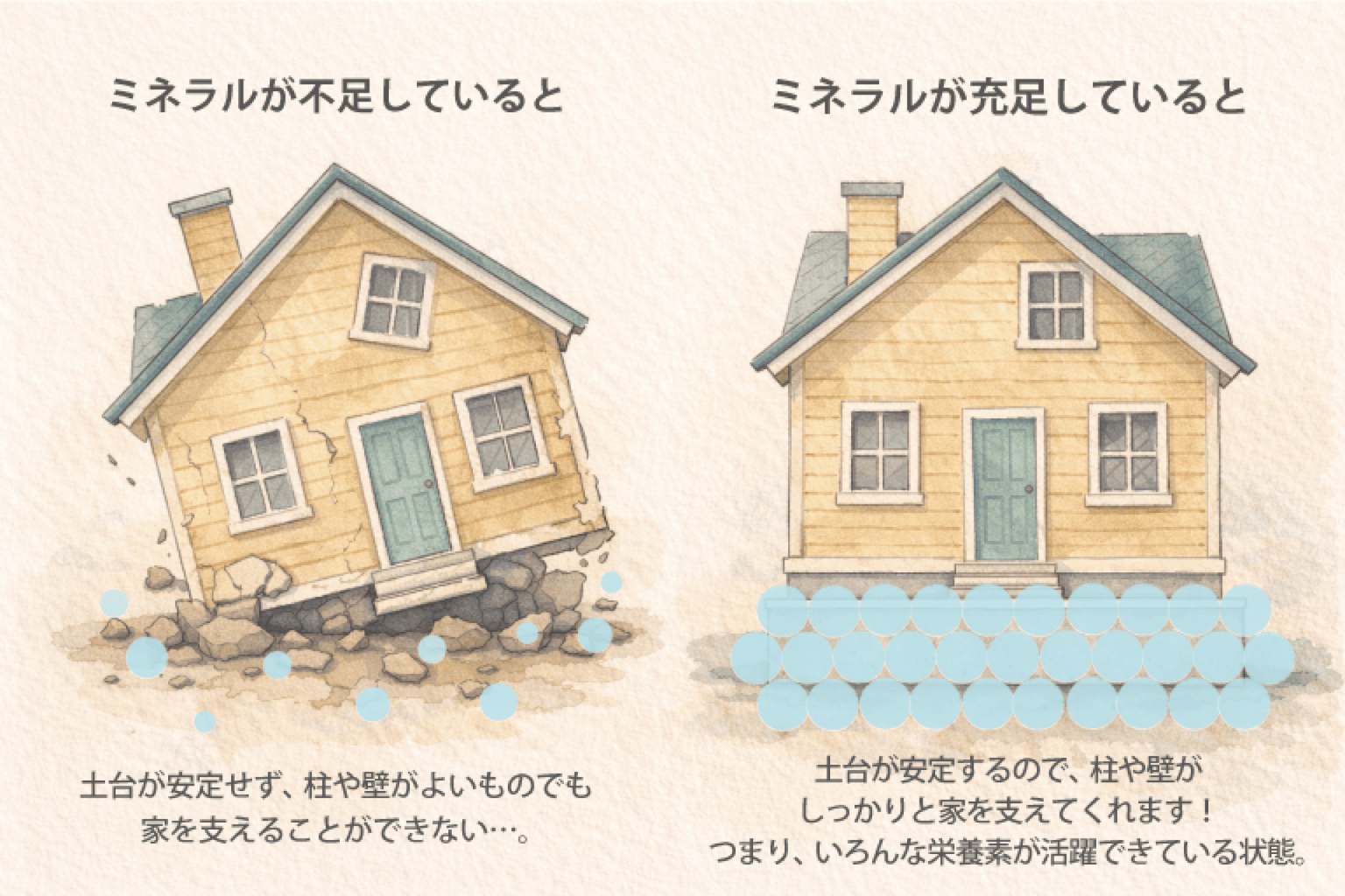 ミネラルは土台のイメージ